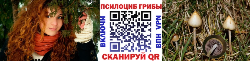 наркотики  Задонск  Галлюциногенные грибы MAGIC MUSHROOMS 